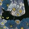 catourenoir